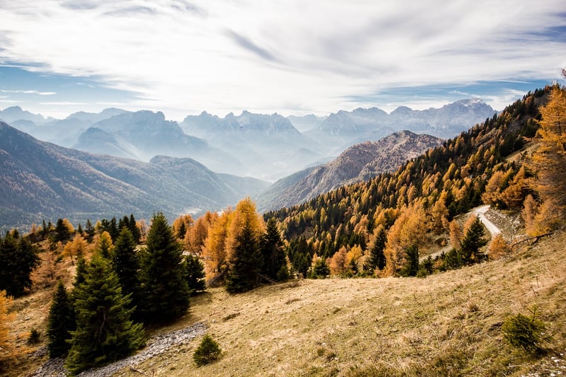 Mountain Magic
