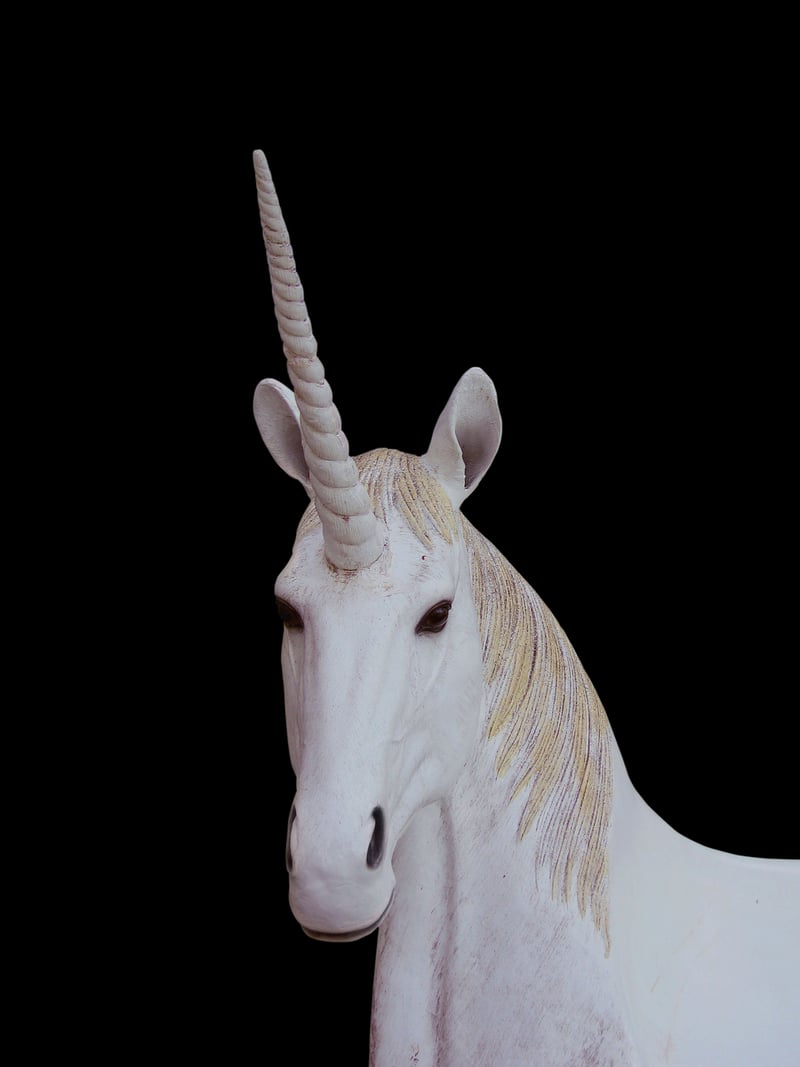 Unicorn Risotto